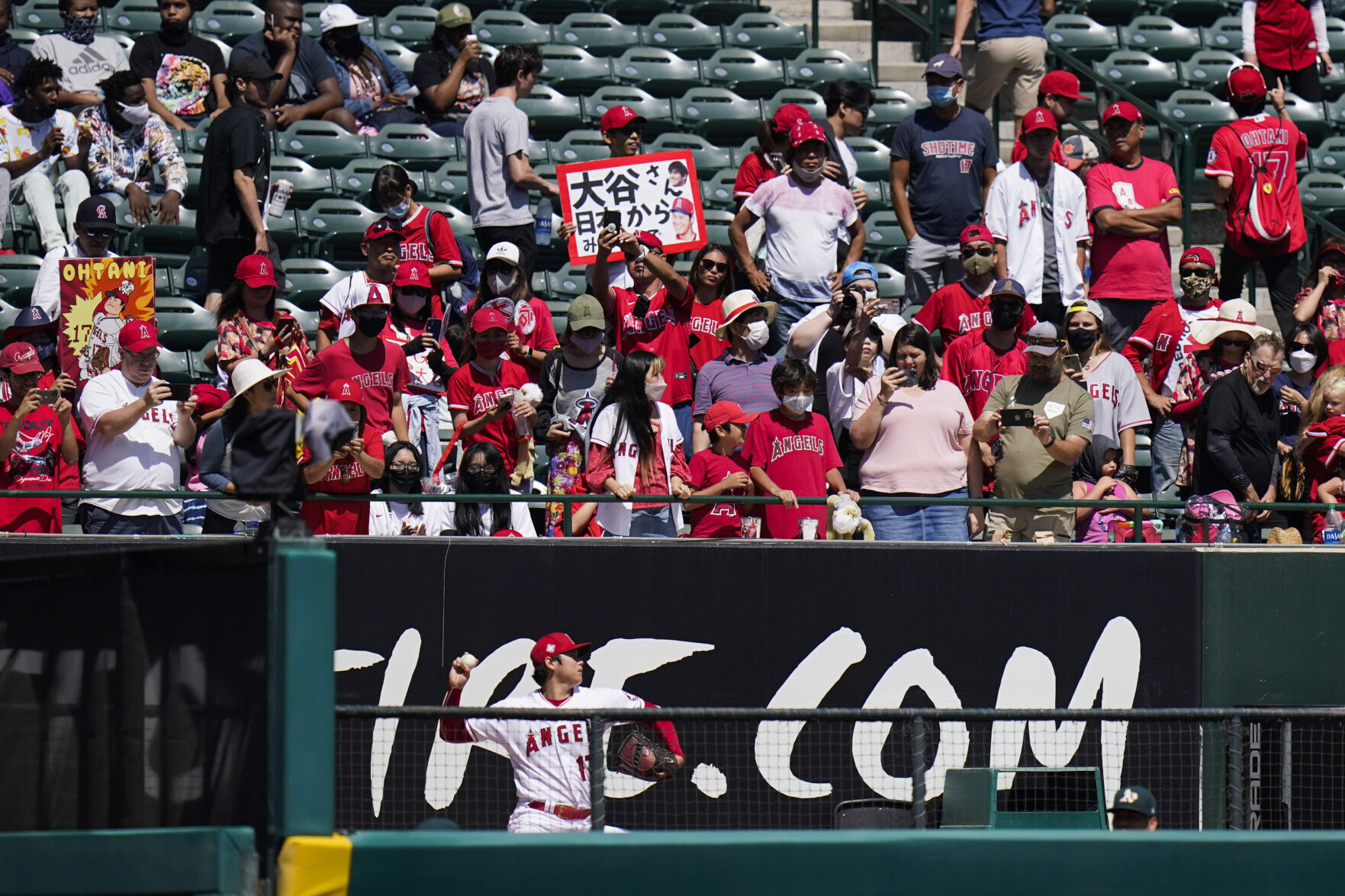 Athletics Angels Baseball